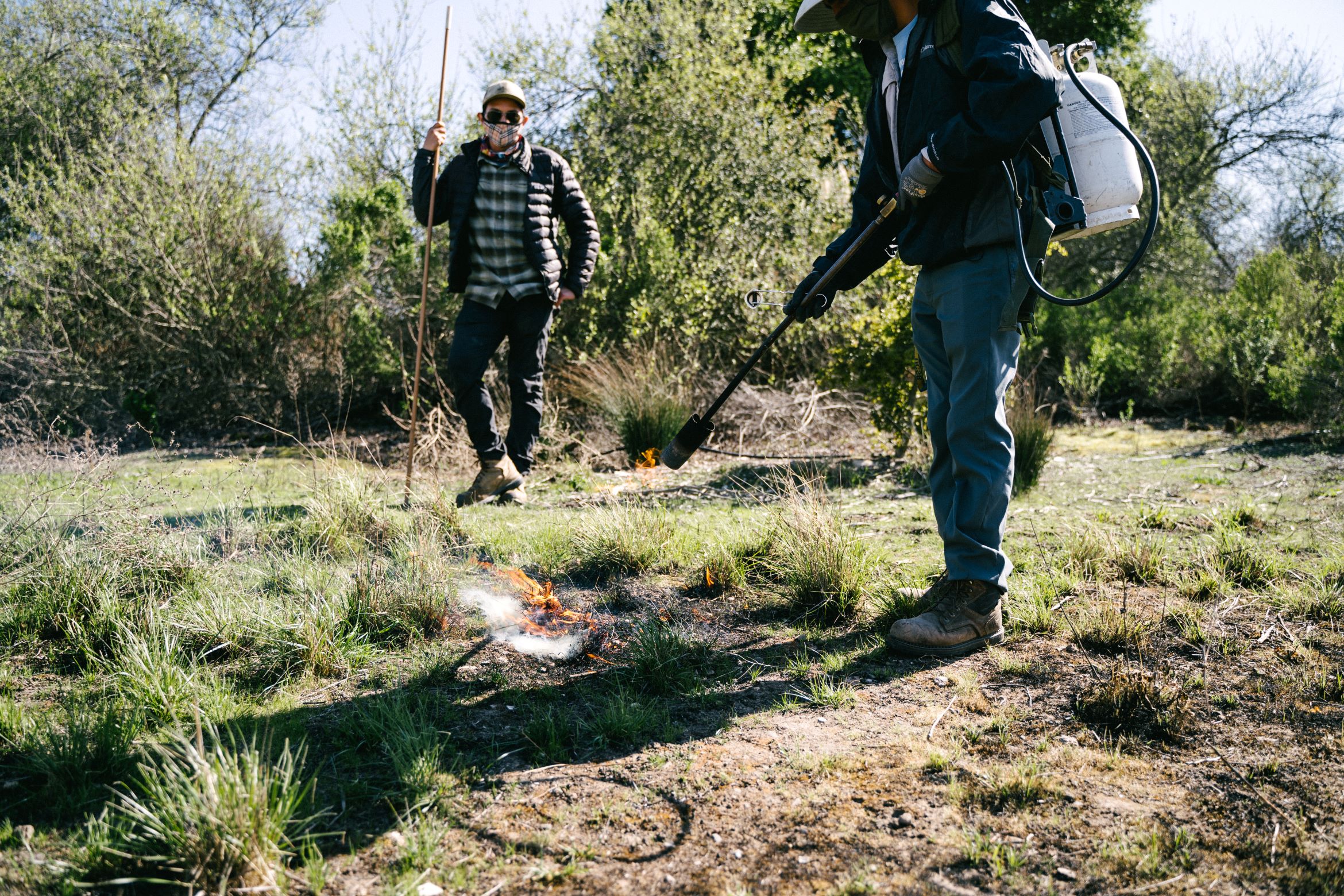 Students using fire for weed control