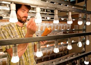 person testing bulbs in lamp testing lab