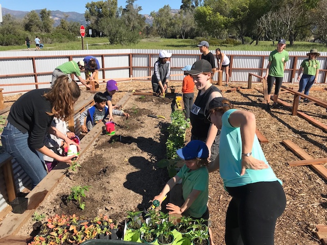 kids planting with adults