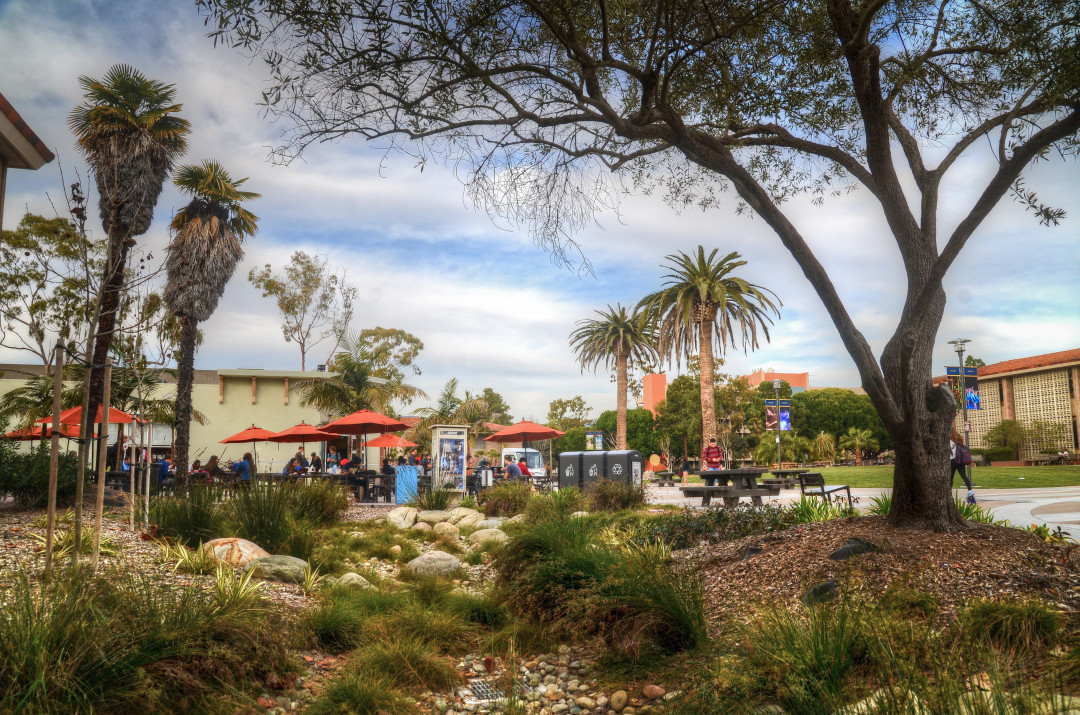 landscaping outside of The Arbor, UC Santa Barbara