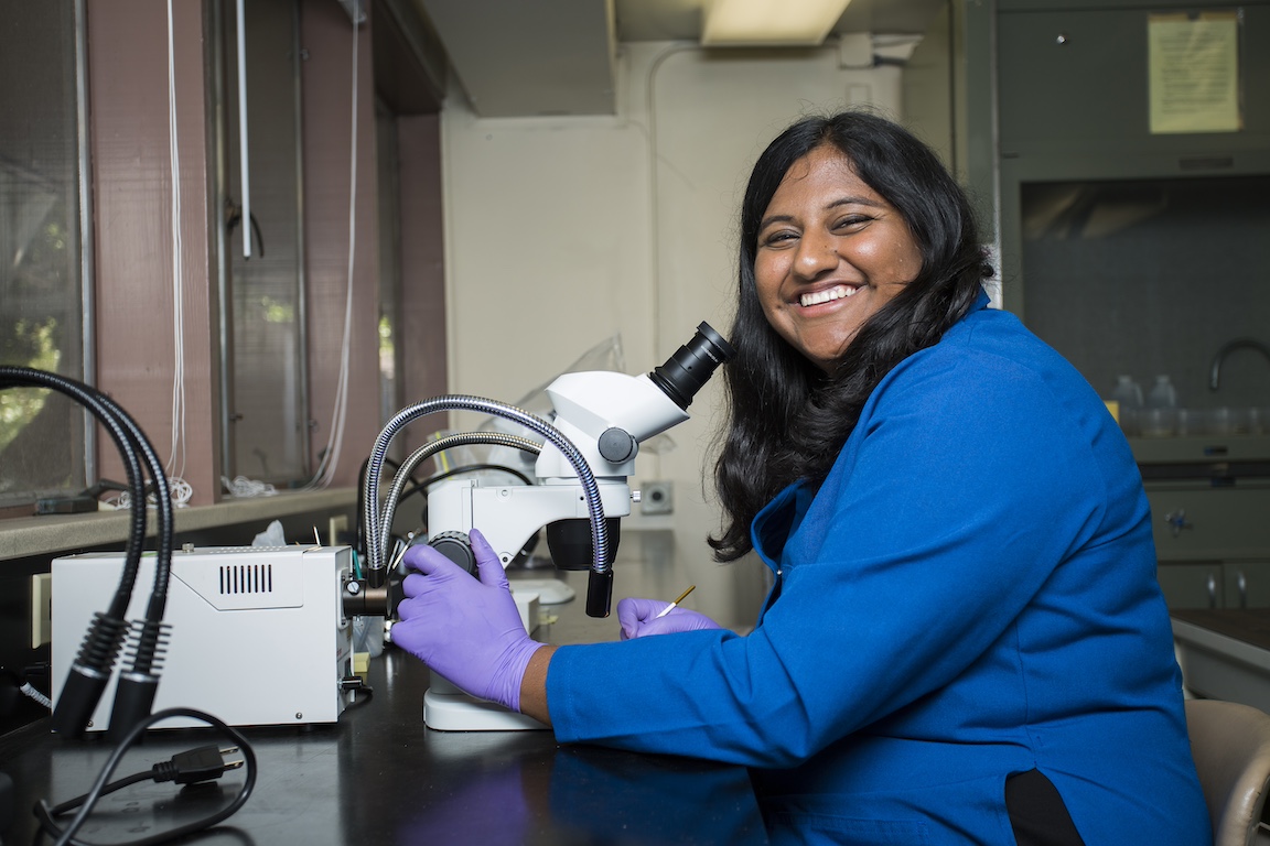 student Anshika Bagla sitting in front of microscope
