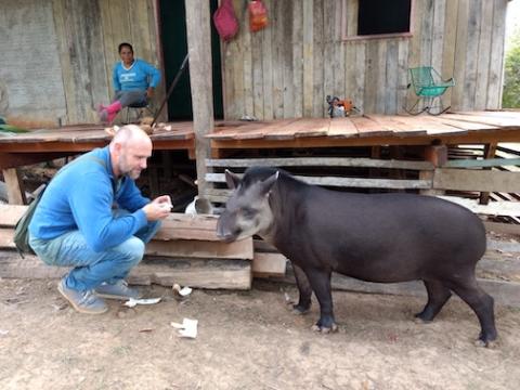 Jeff Hoelle with a tapir in the Amazon. 